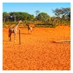 Chodzcie ...tu jest woda