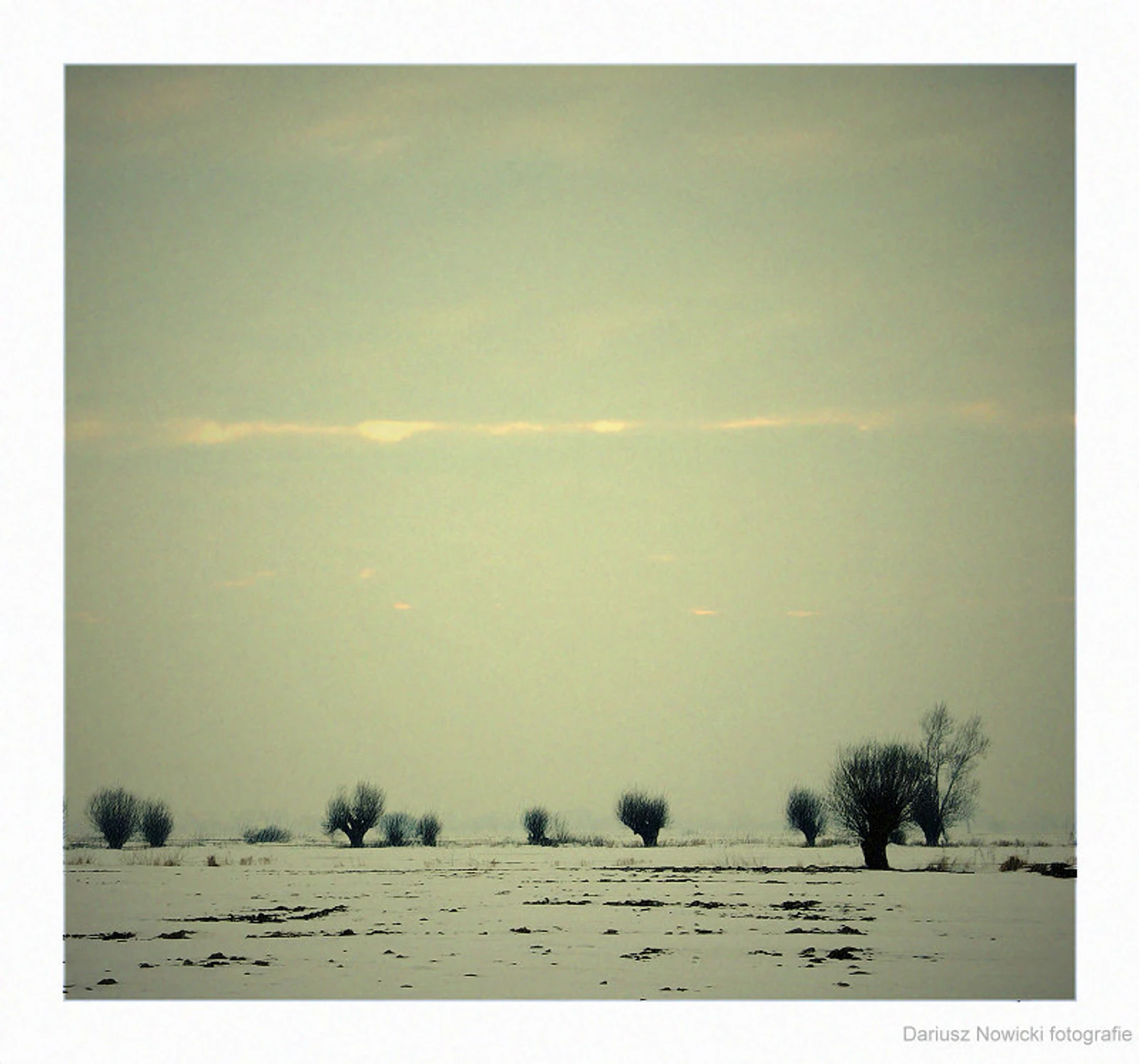 Żuławskie wędrówki