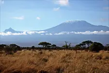 Kilimandzaro