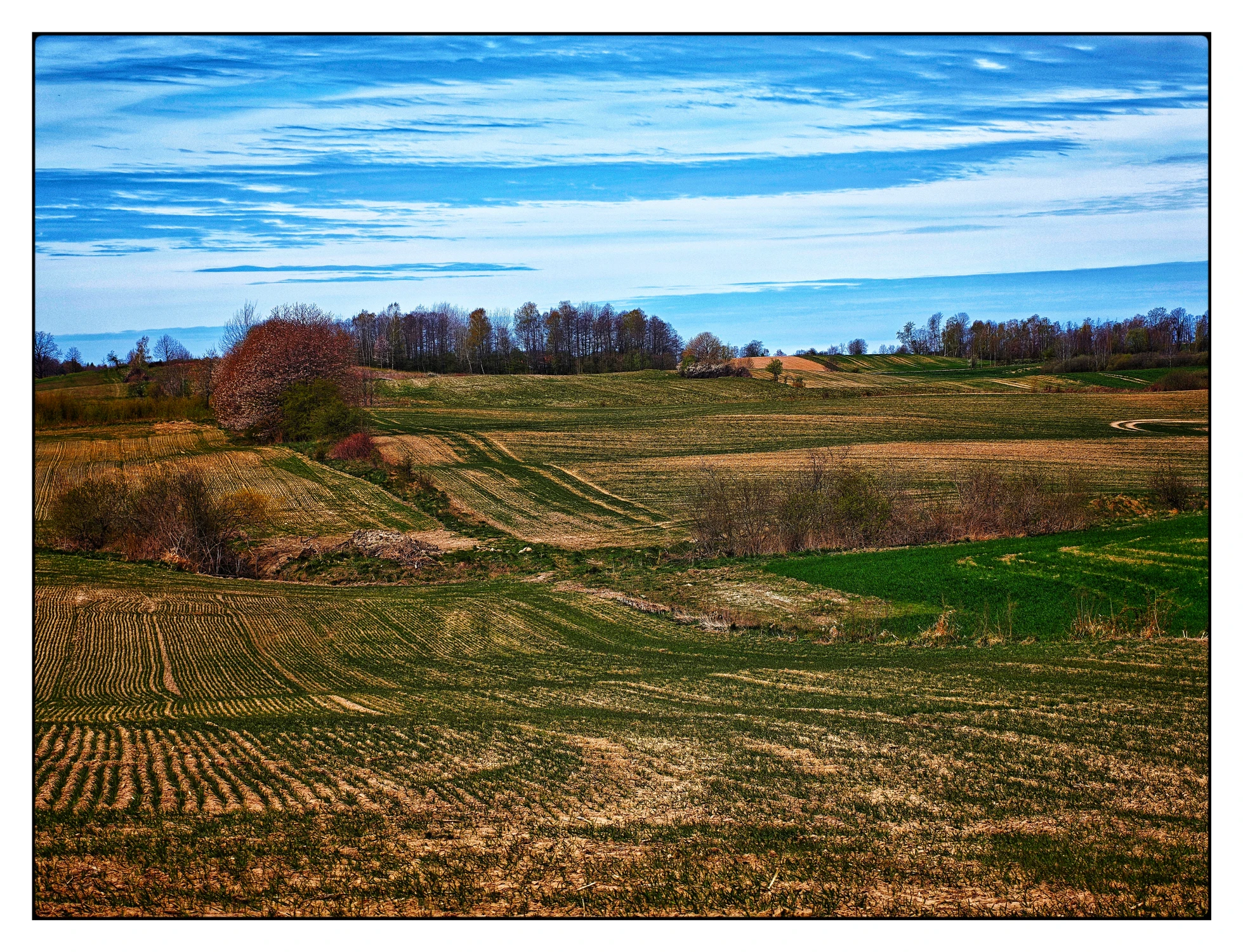 1296....jako w niebie tak i na ziemi.