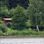 siedząc w szuwarach i czekając na słońce