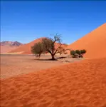 Jest kwadrat 20 lutego 2026