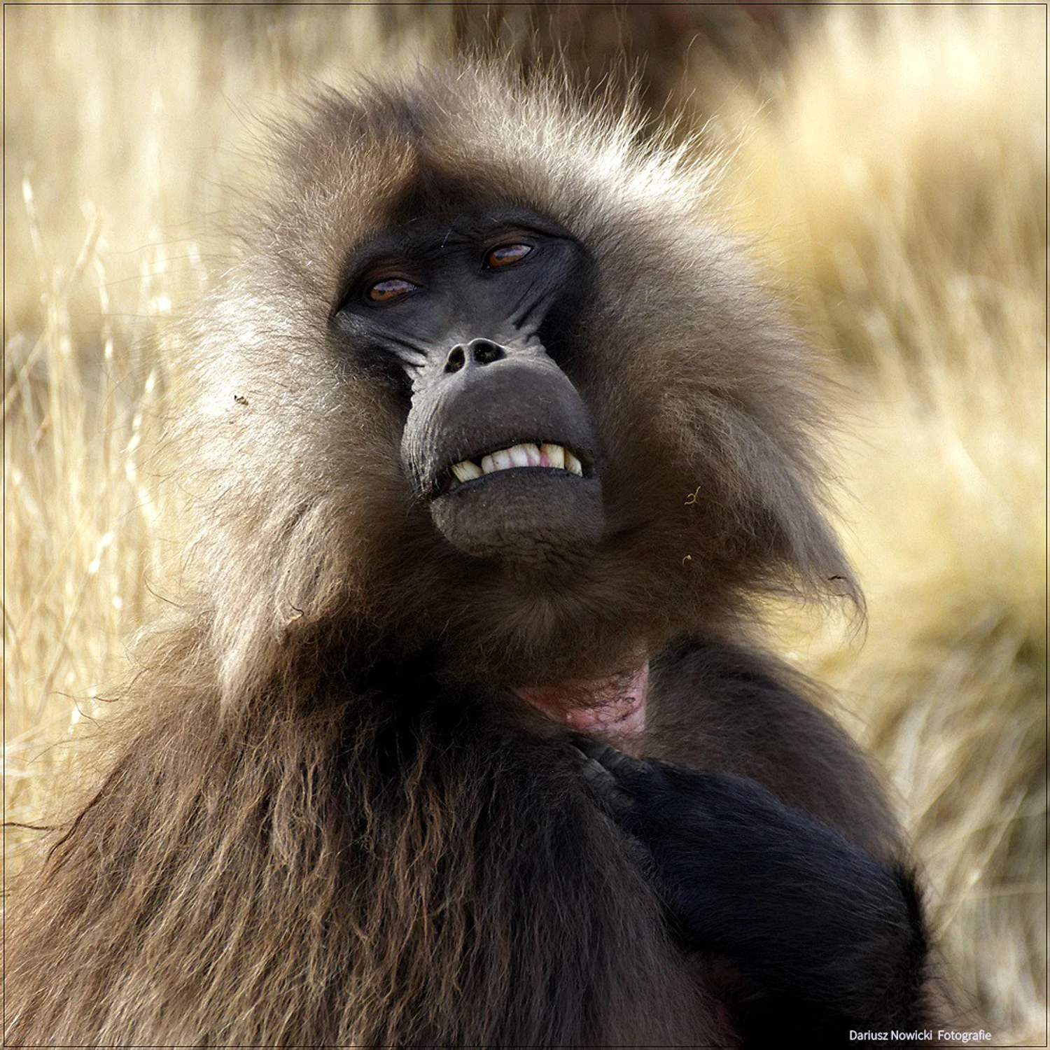 Ja do Ciebie z sercem ma wierzchu 