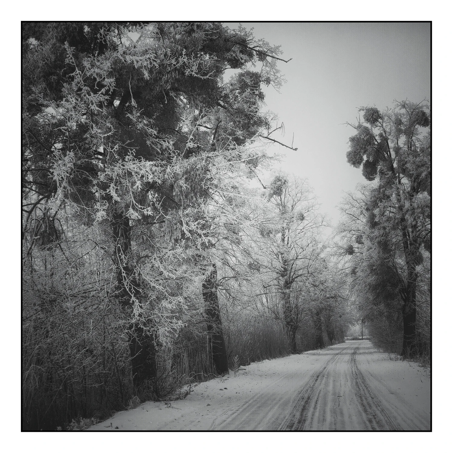 Droga do Lass Fatall