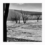 na dnie w  Deadvlei 