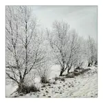 Lass Fatall w okolicy