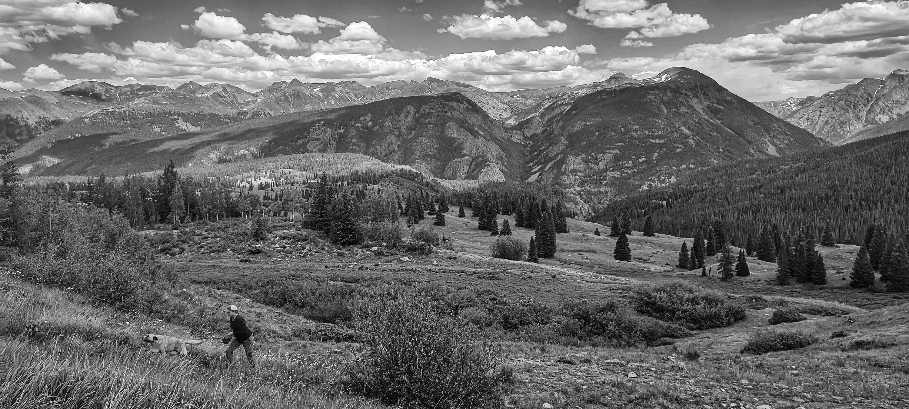 Z piesem po Górach Skalistych