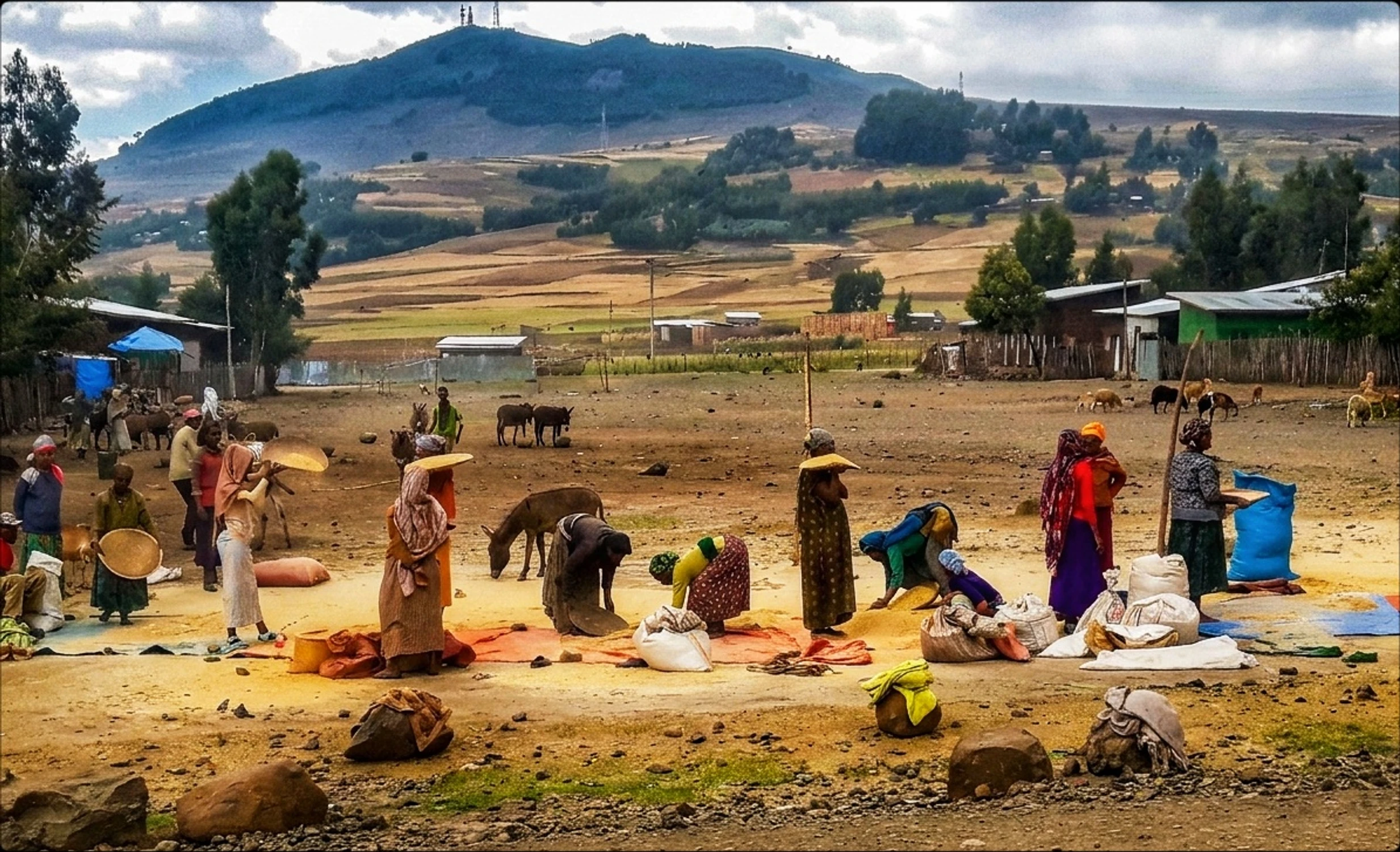 Scena po żniwach.Przesiewanie ziaren