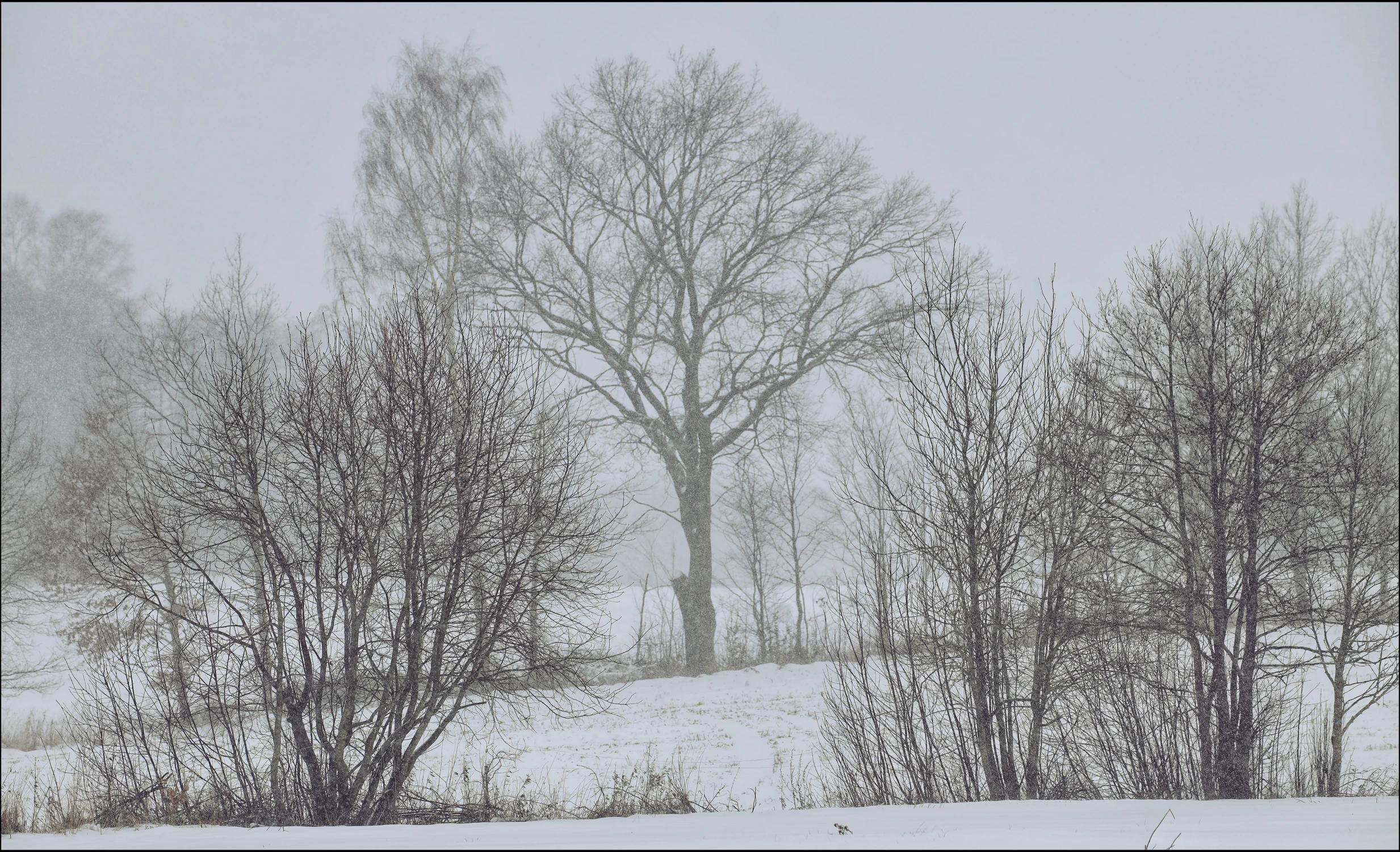 To też ... Interesujące