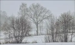 To też ... Interesujące