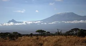 Kilimandżaro