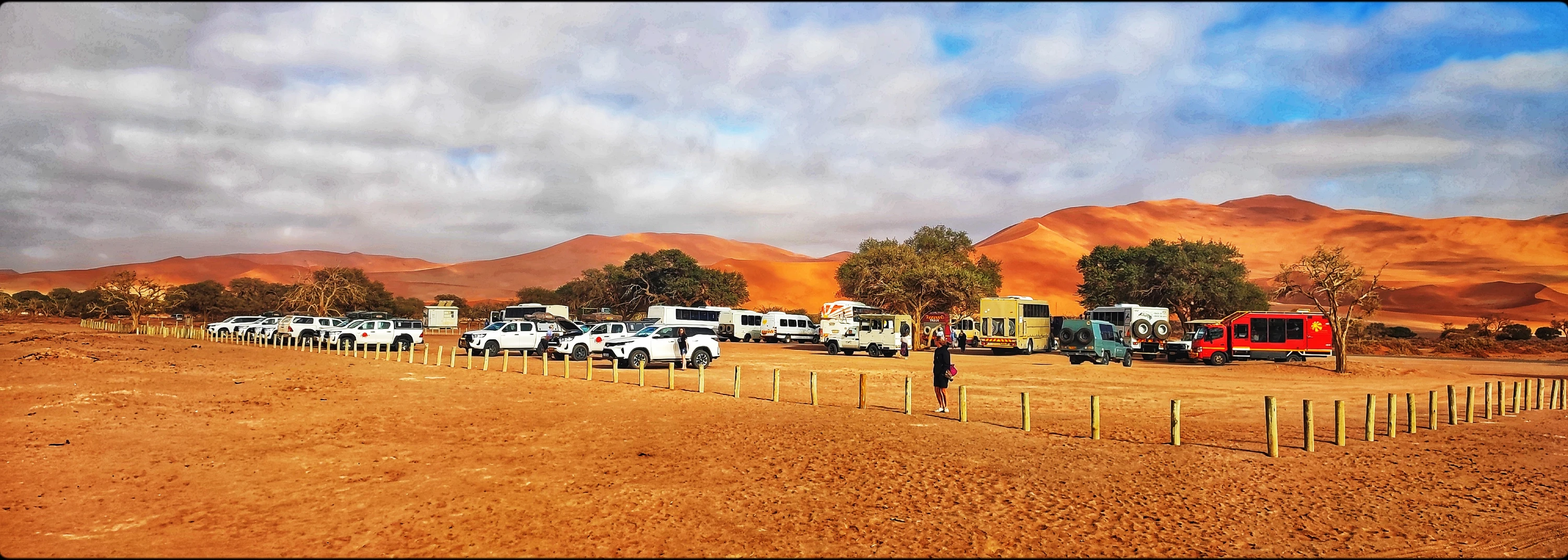 Niby pustynia a miejsca brak