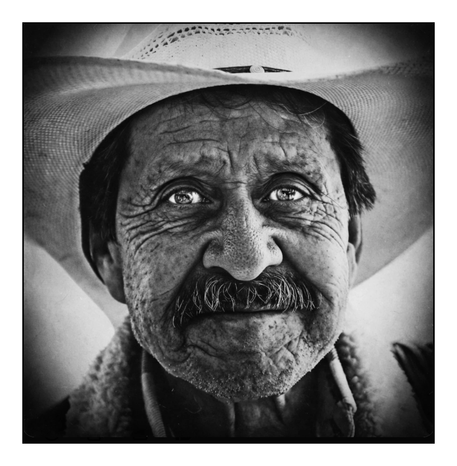Pedro 
