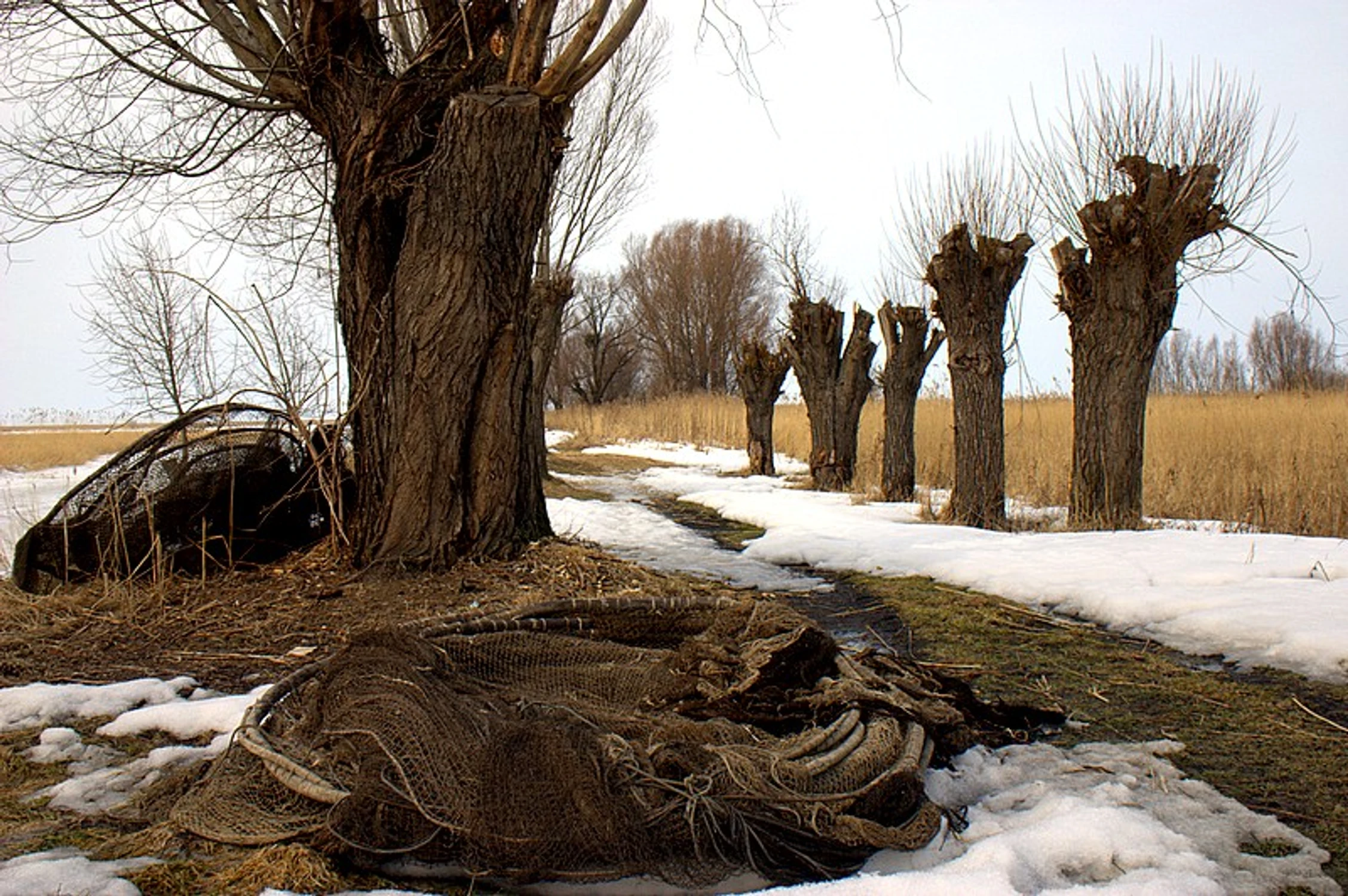 W porcie nad Zalewem Wiślanym