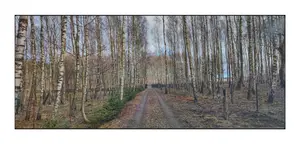 Brama na wiosnę otwarta