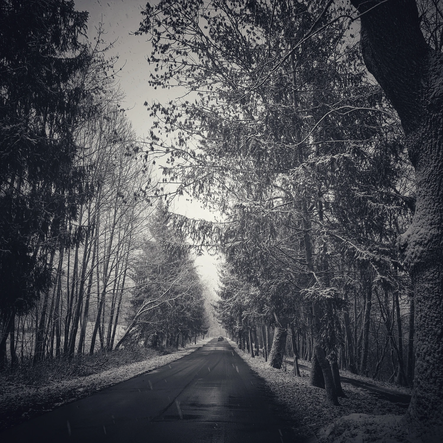 Aktualne altualności z drogi