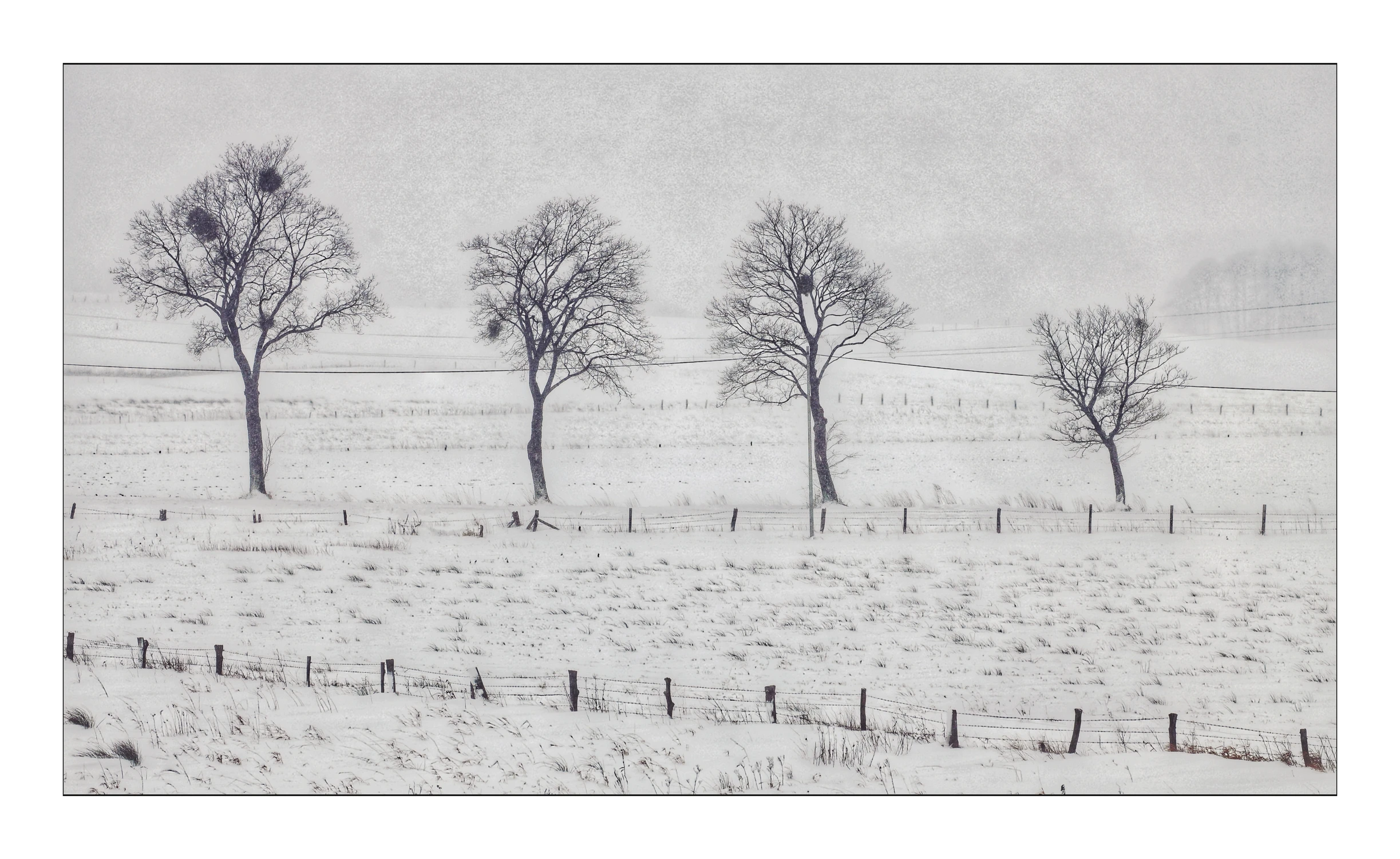 Wyszedłem na dwór czy na pole