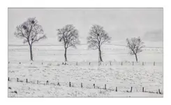 Wyszedłem na dwór czy na pole