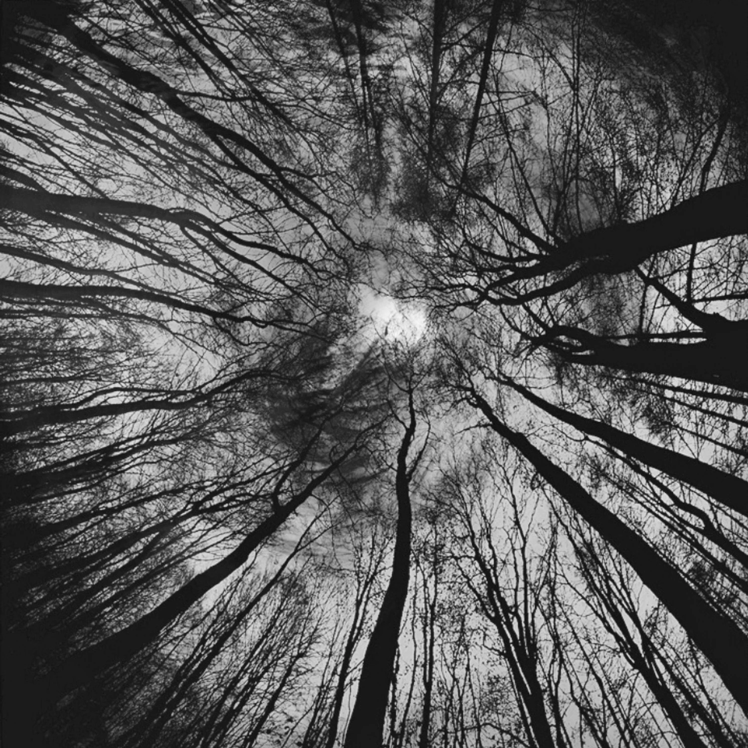 Opowiedz mnie swoją historię...