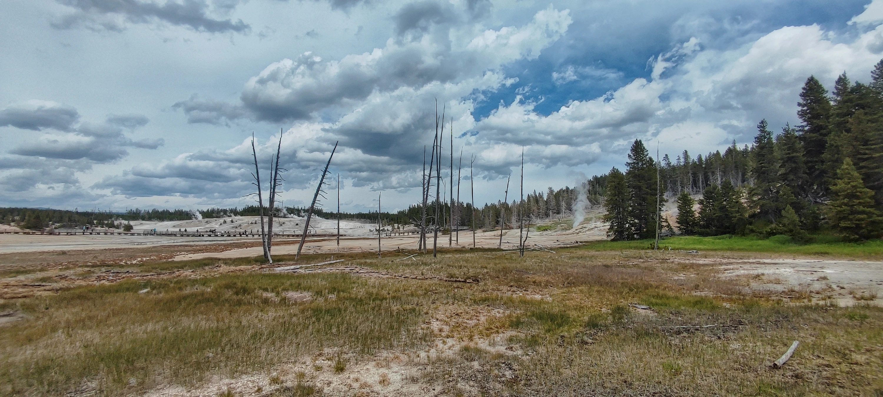W kolorze park narodowy