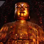 budda a czpiają się Berkowicza