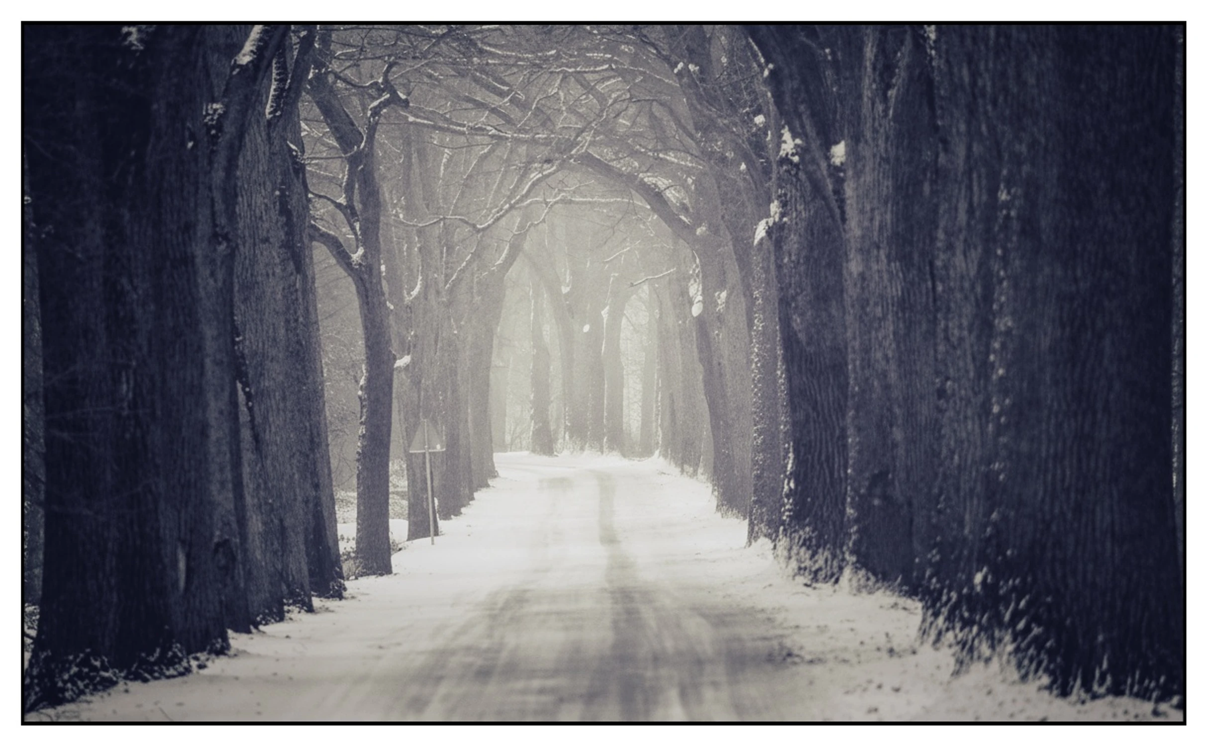 Klęska żywiołowa,...?