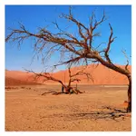 12 768,7 km od mojej wsi 