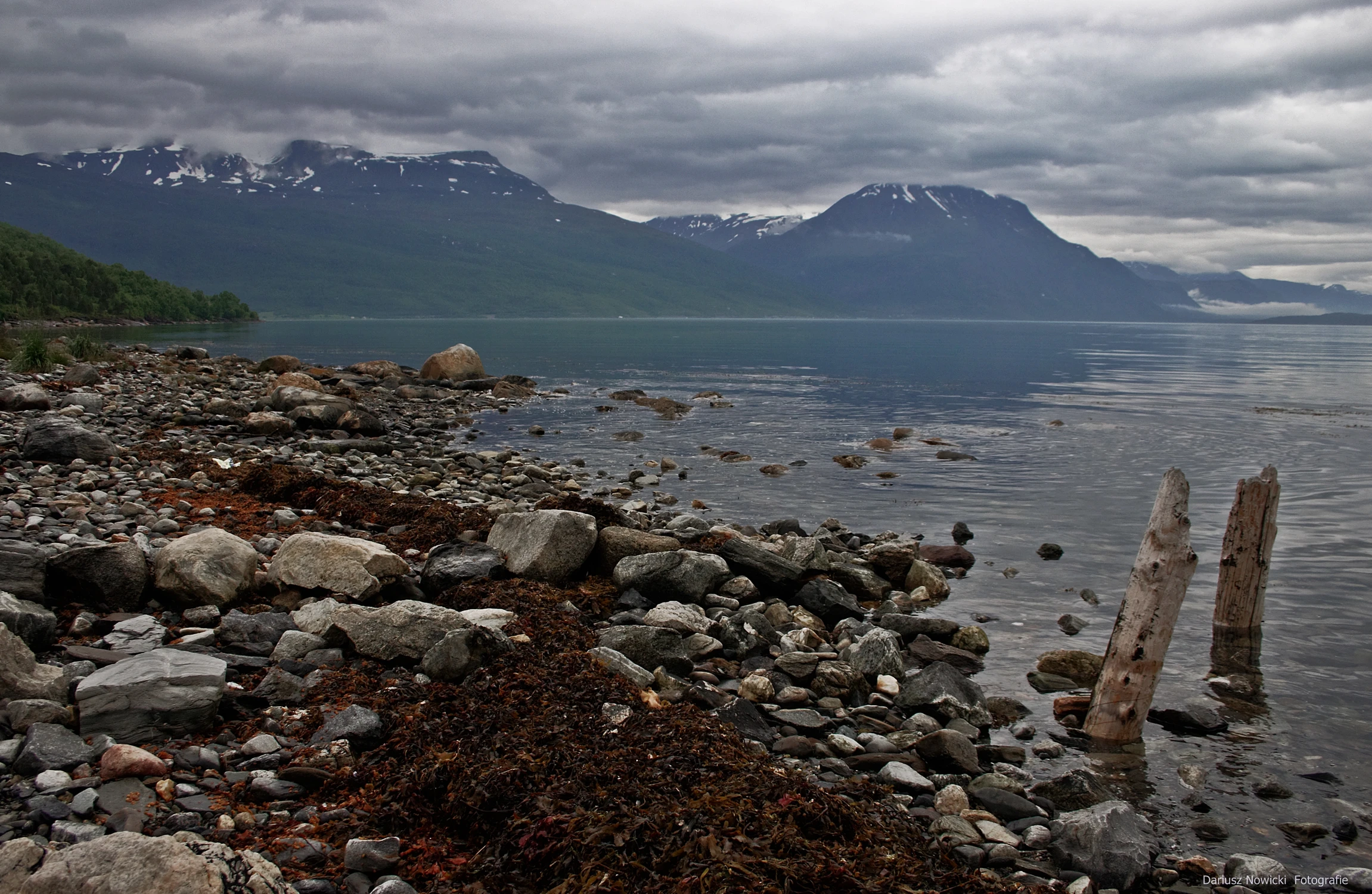 obrazek z fiordu