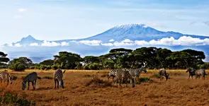 Uhuru | Kilimandzaro