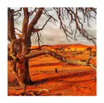 patykusy lub pustynna relacja