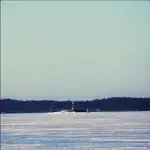 Bojer przy Piotrusiu