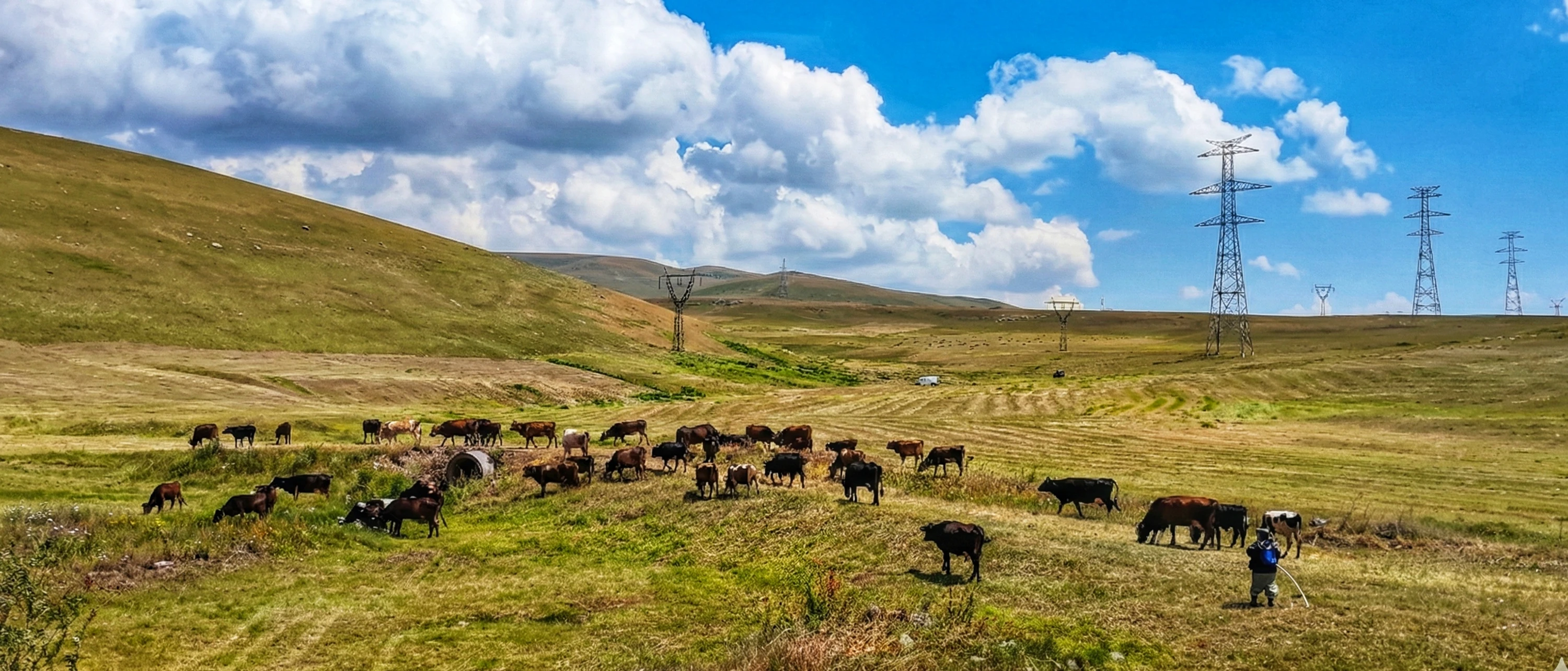 Nie będę Ciebie Pasać...