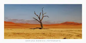1750363381777