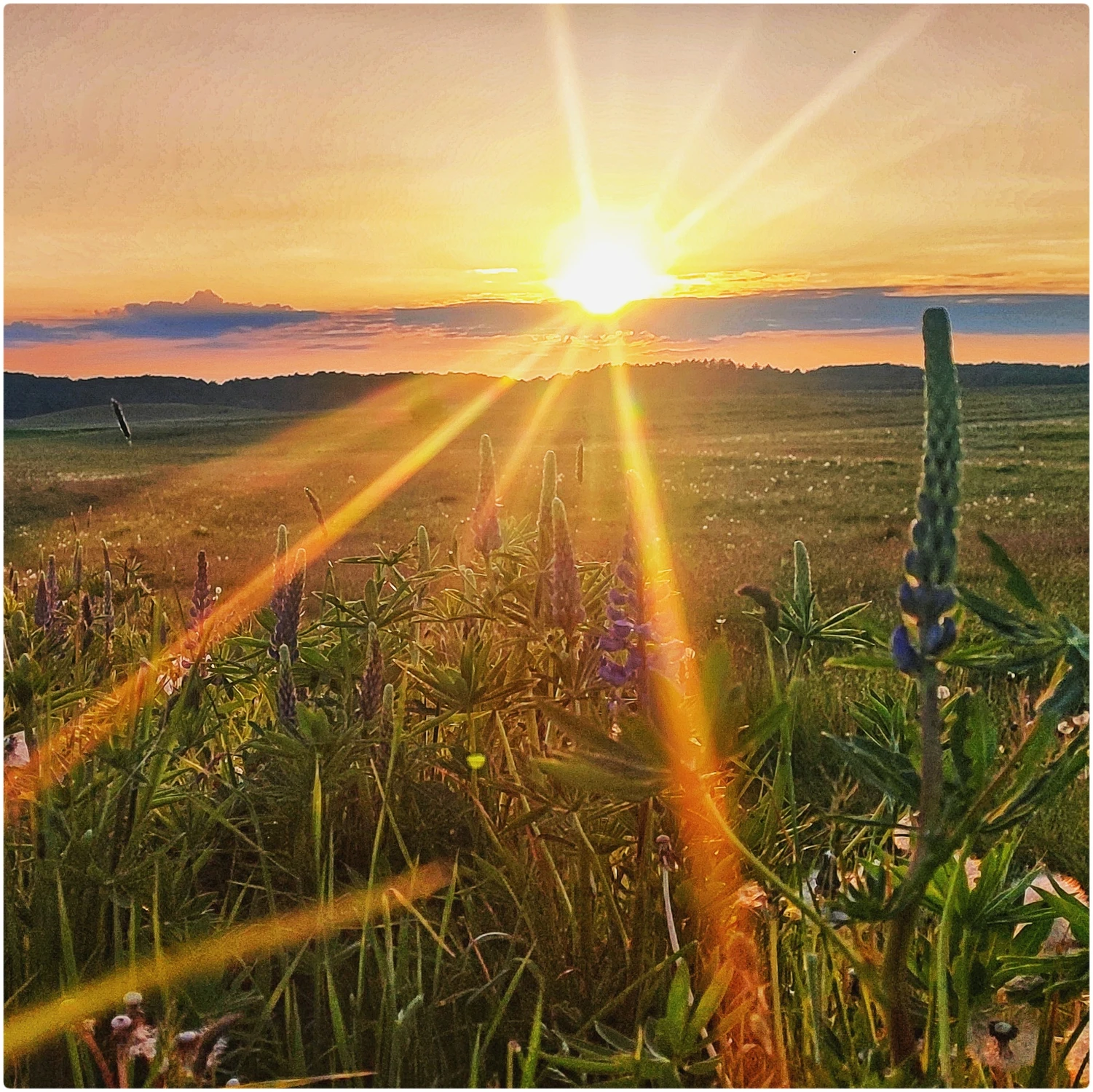 Słonce na mojej wsi