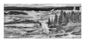W Parku Yellowstone 