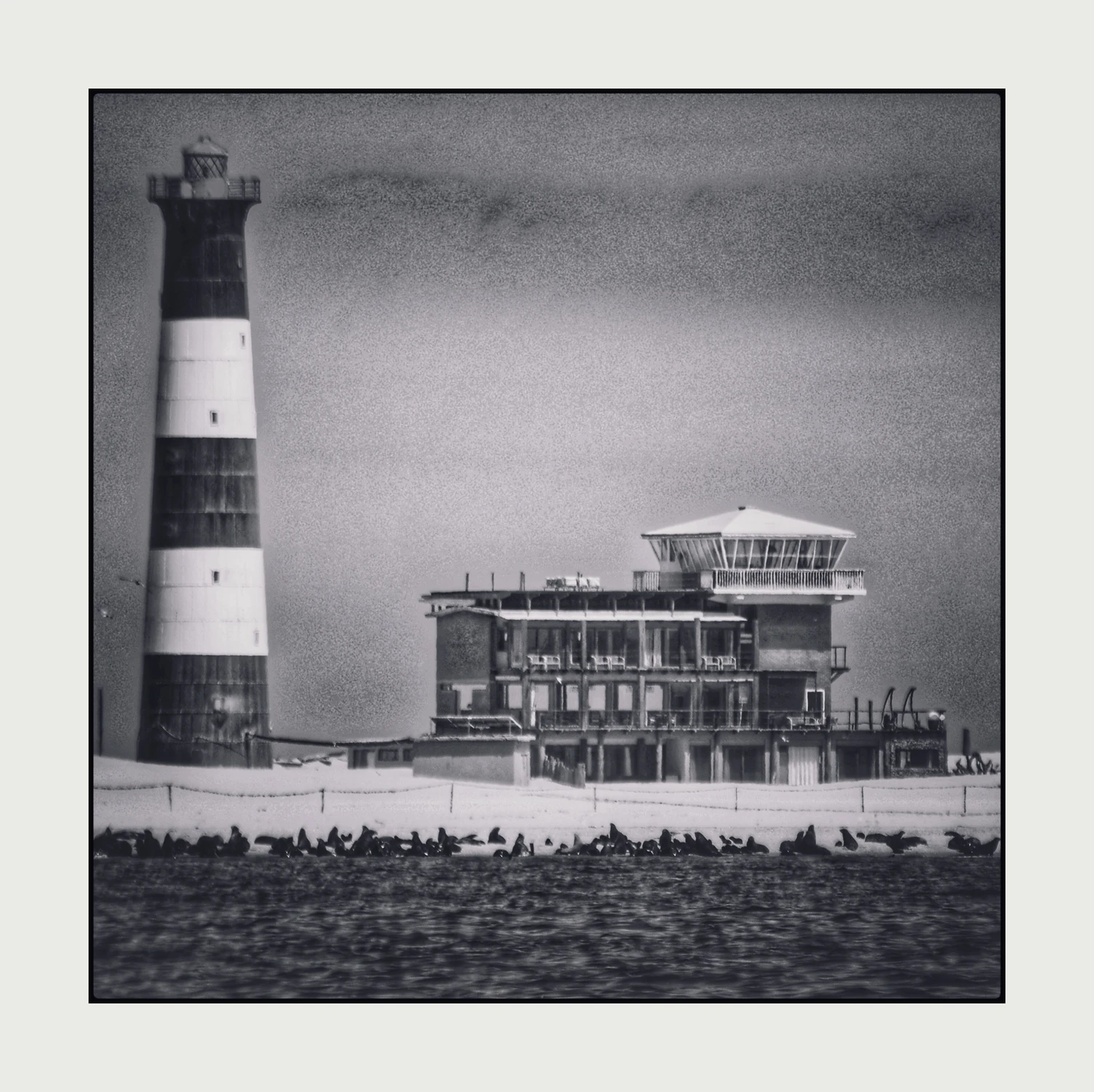 Pelican Point.Namibia 