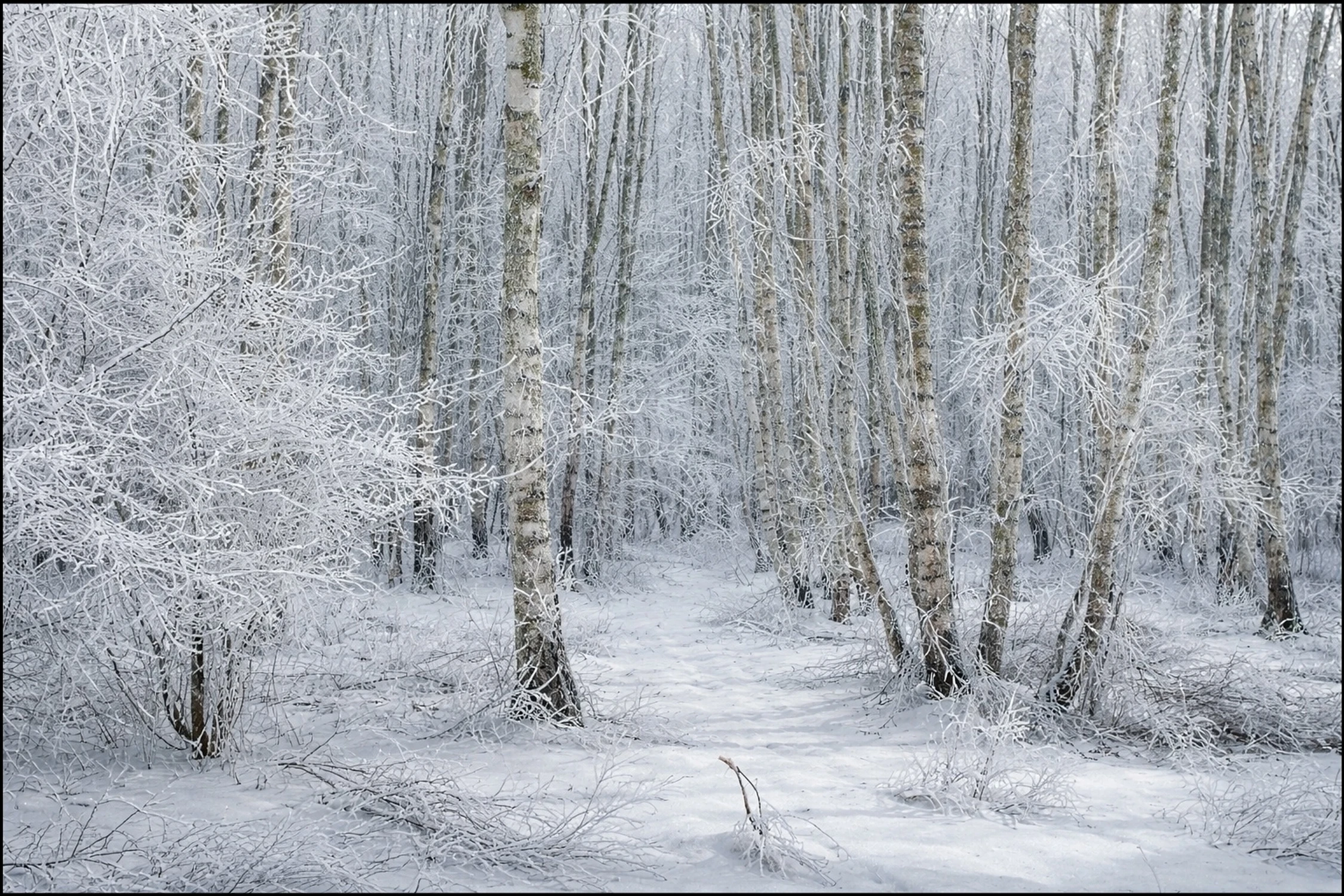 Witajcie w mojej  bajce