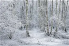 Witajcie w mojej  bajce