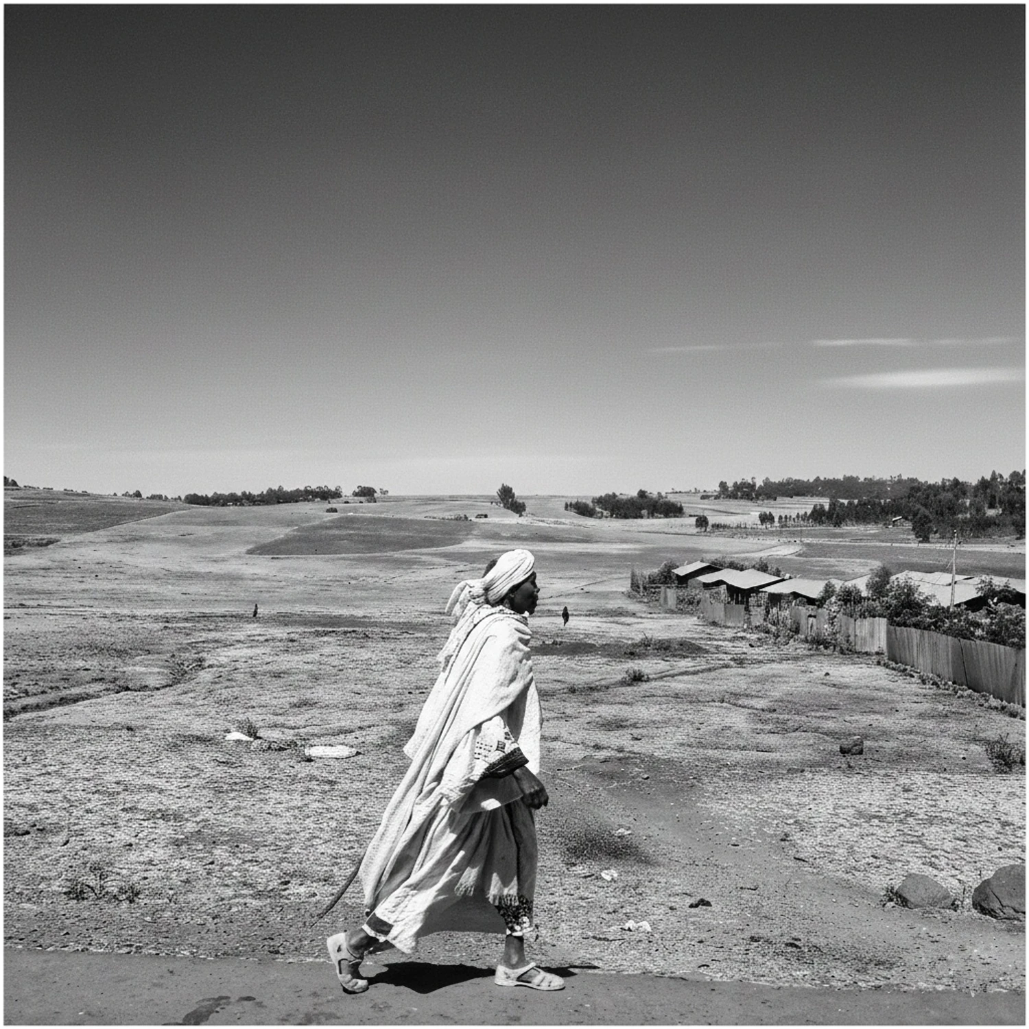 Szukając swego miejsca