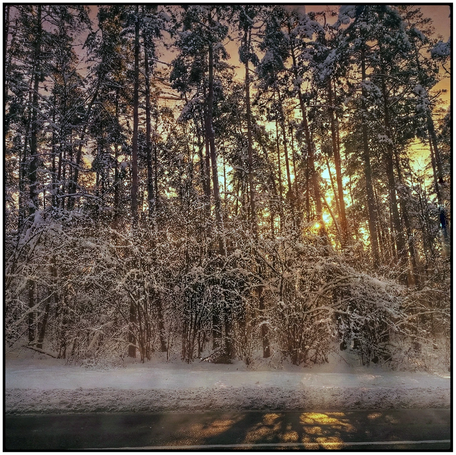 1000093323 na trasie