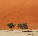 1000105967