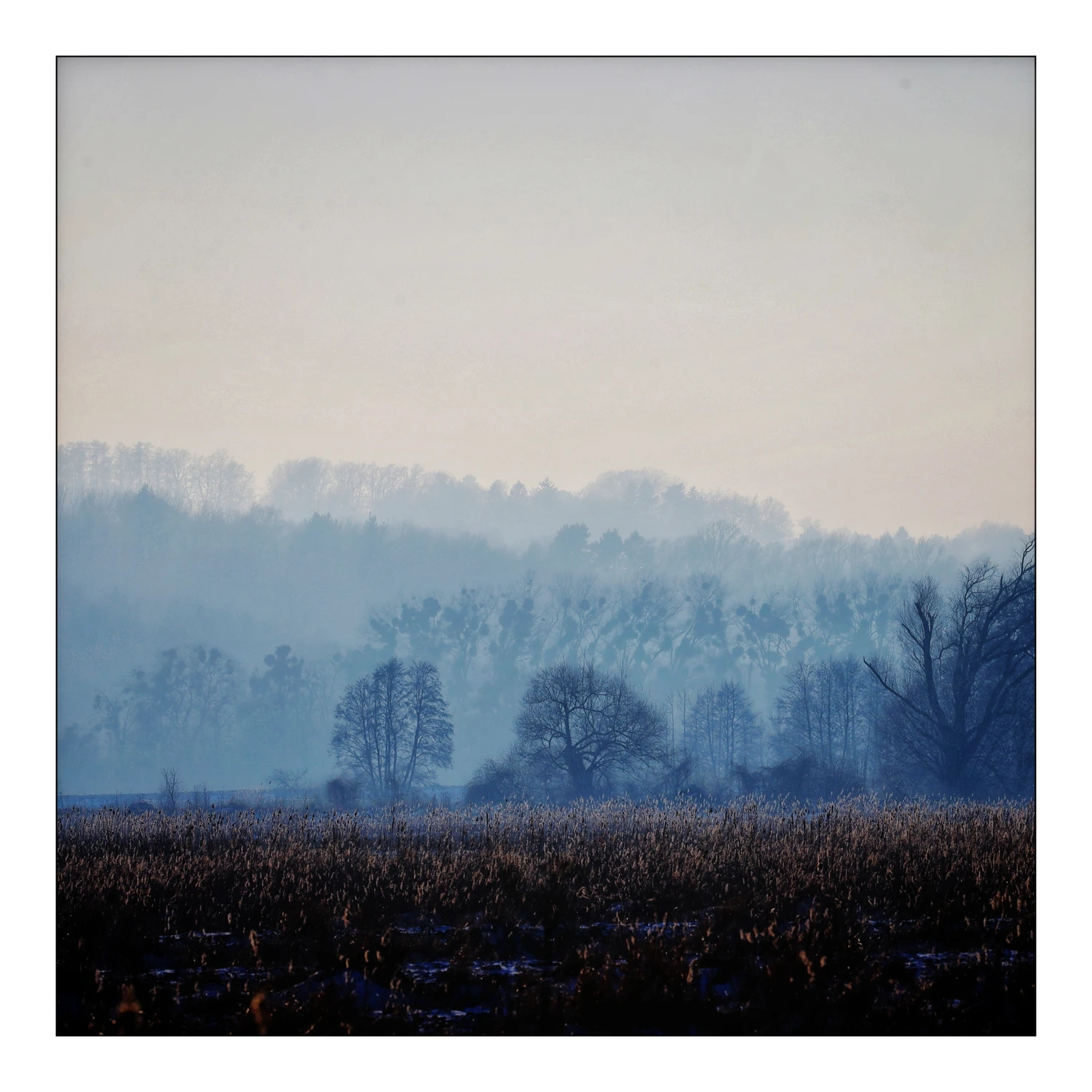 Moje "góry" w okolicy