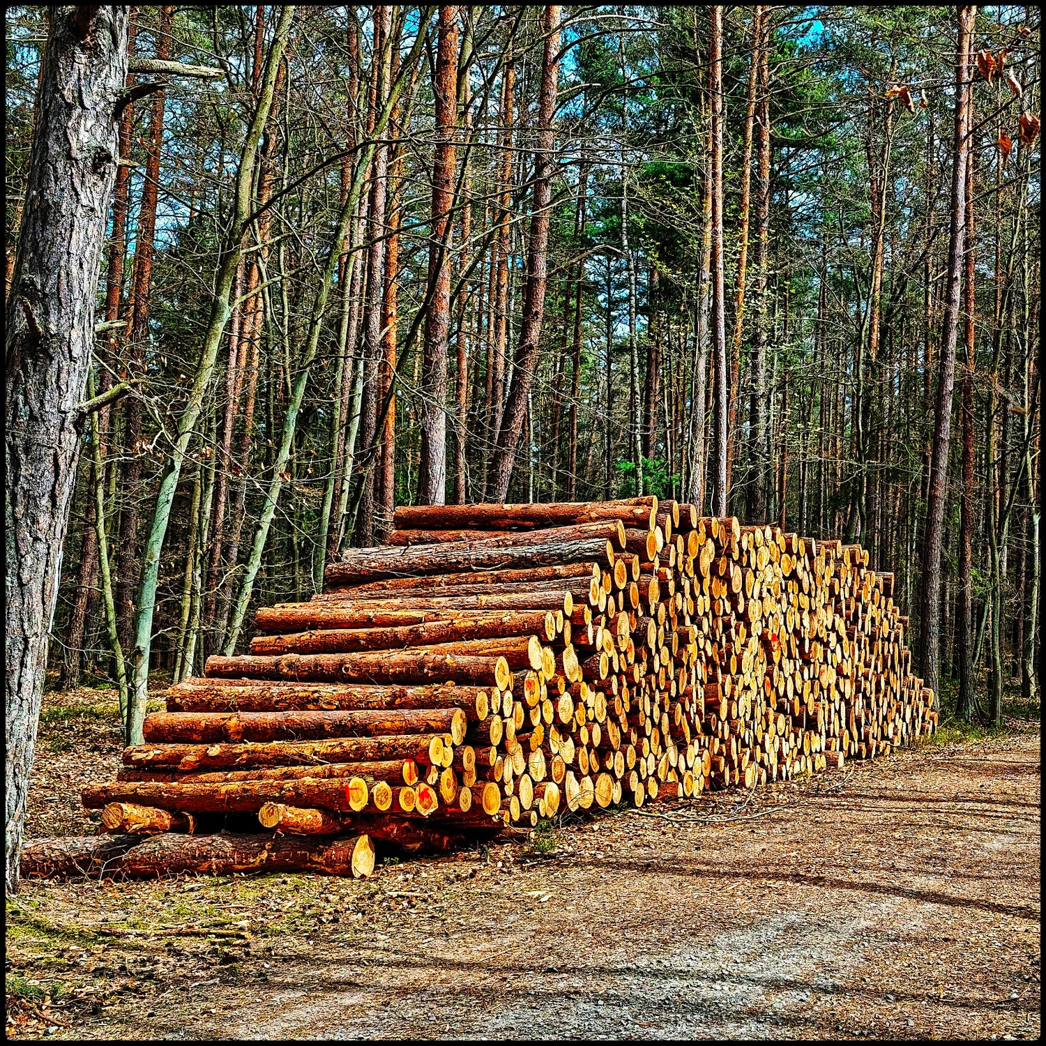 A miało być inaczej .