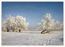 Pobrane z onephoto teraz... A foto ma 21 lat.