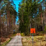 Już chyba legendarna R 10