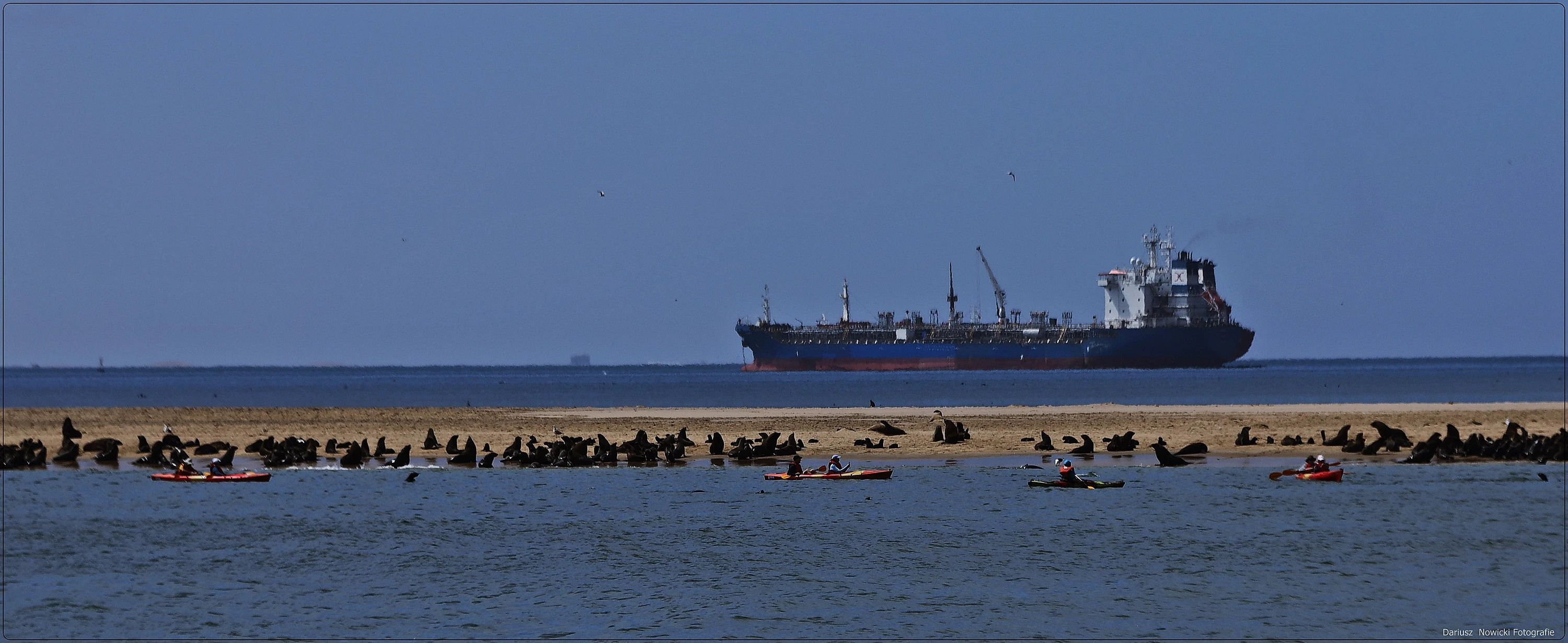 uchatki Na Pelican Point 