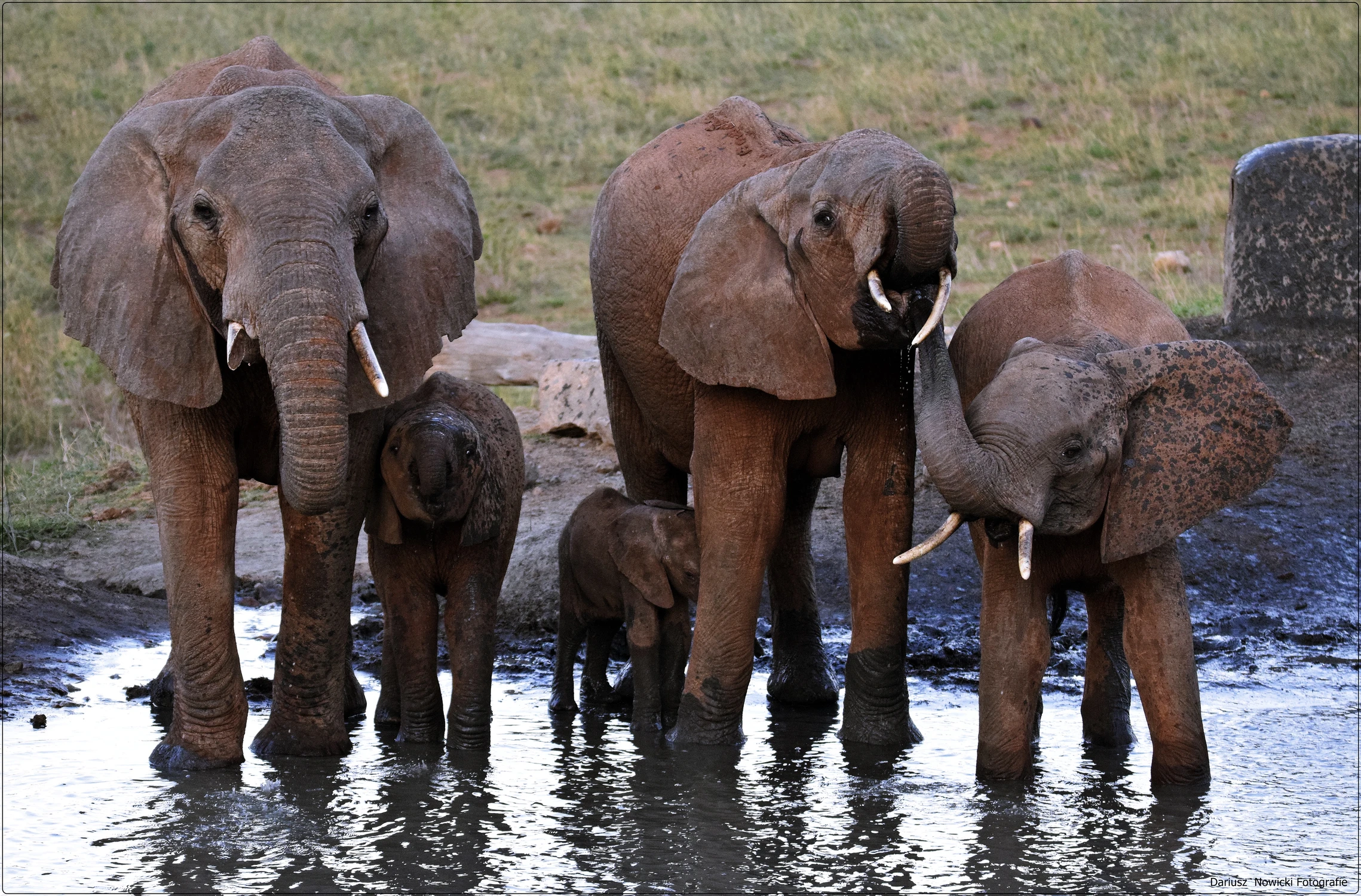 Dzieci  kąpiemy się 