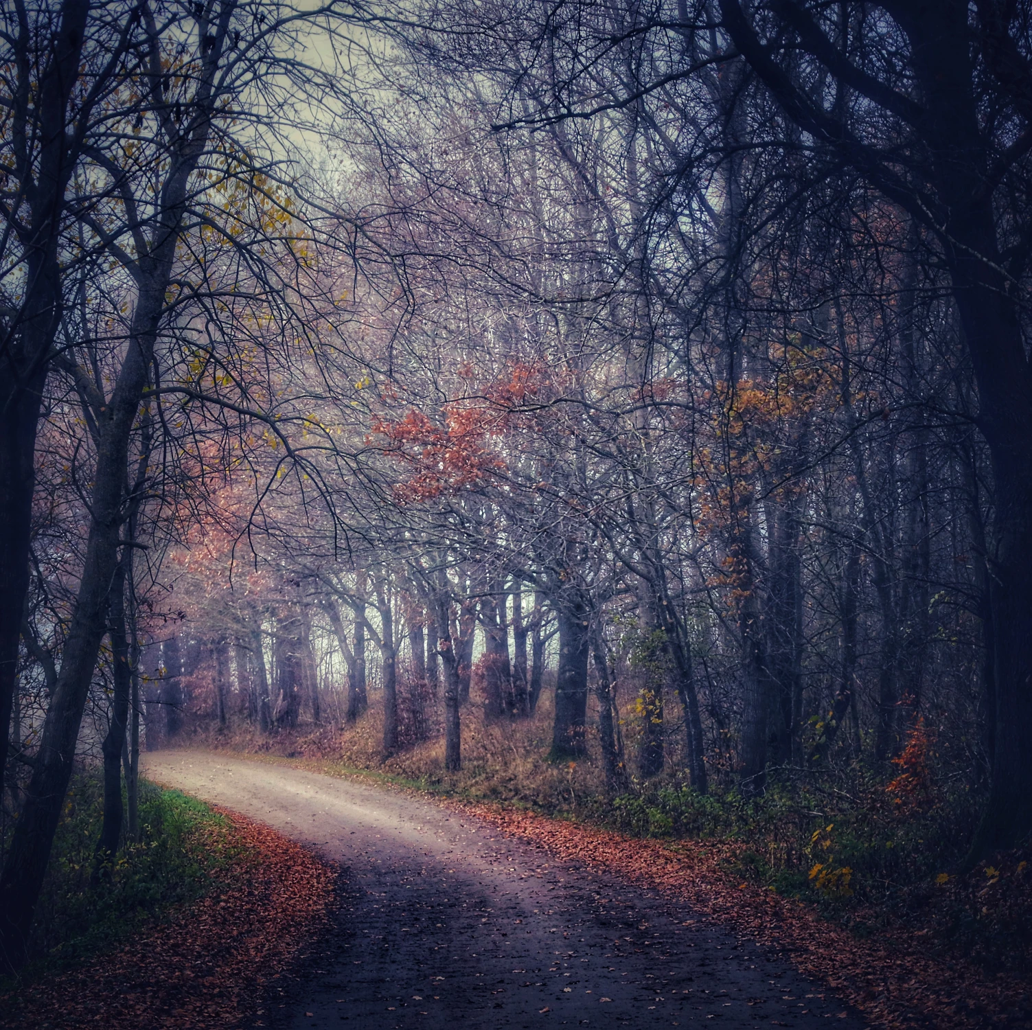 Do mojej bramy  1 kilometr