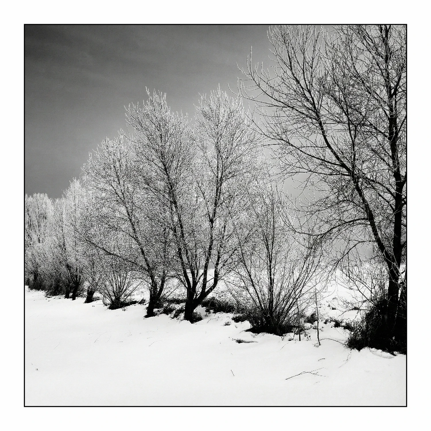 Lass Fatall dziesięć