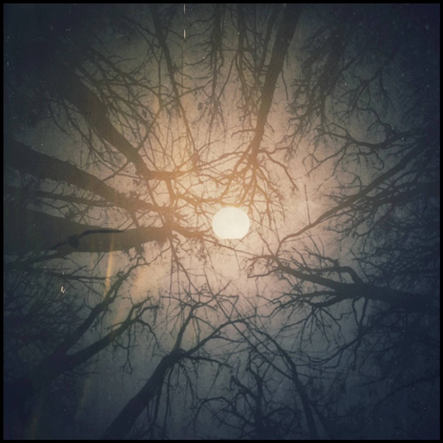 Niech światło Was prowadzi